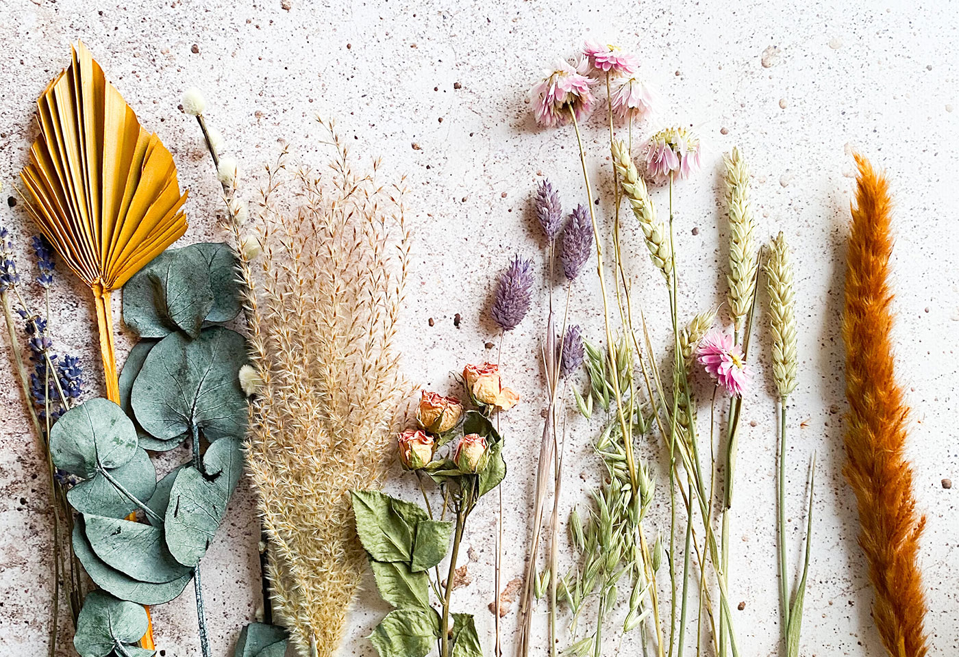 micheile-henderson-XPCdZXncj64-unsplash